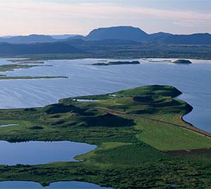 The craters at Skutustadir  or Lake Myvatn 