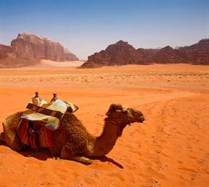 Wadi Rum Desert