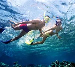 Snorkelling on the coral reef