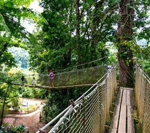 Garden’s Suspension Bridge  in the botanical garden