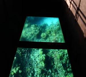 A glass bottomed boat ride