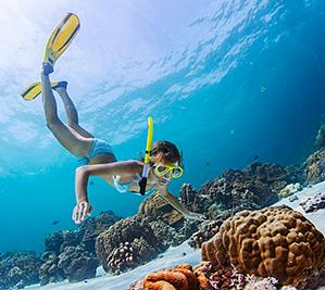 Snorkelling in Brush Island