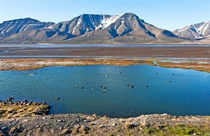 Start planning your cruise and book your excursions to Longyearbyen