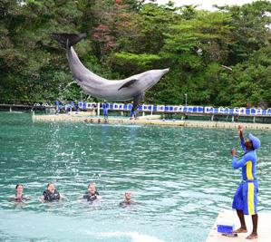 Dolphin Cove