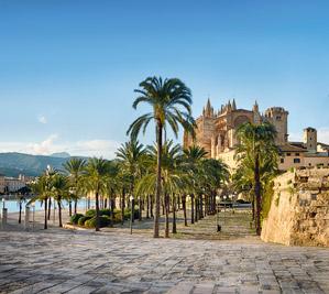 The Cathedral of la Seu