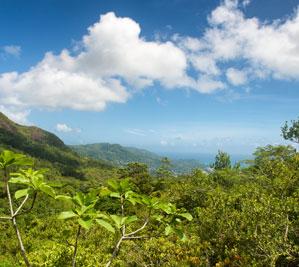 Morne Seychellois National Park 