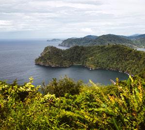 Maracas bay