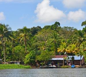 Tortuguero National Park