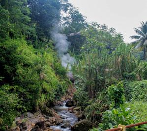 The sulfur springs