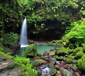 Waterfalls in the Rainforest