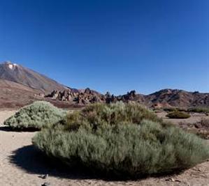 Snow-capped El Teide