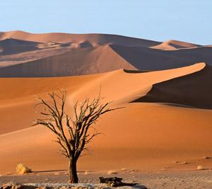 Namibia desert