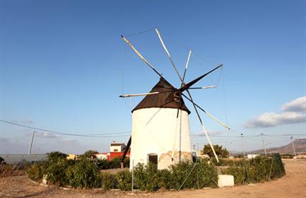 Start planning your cruise and book your excursions in Cartagena, Murcia, and Alicante
