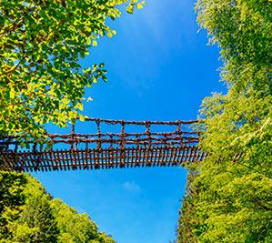 Suspension Bridge