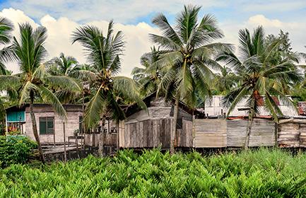 At the Foot of the Milne Bay Hills