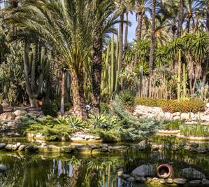 Elche, Huerto del Cura Garden