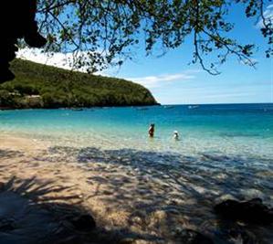 Anse Mitan Beach