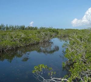 Lucayan National Park