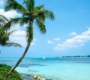 Winter in the Caribbean