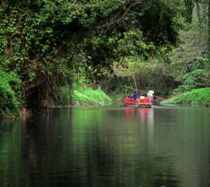 Martha Brae River