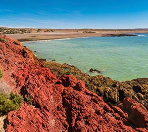 Punta Tombo