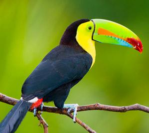 Cahuita National Park