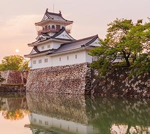 Toyama castle